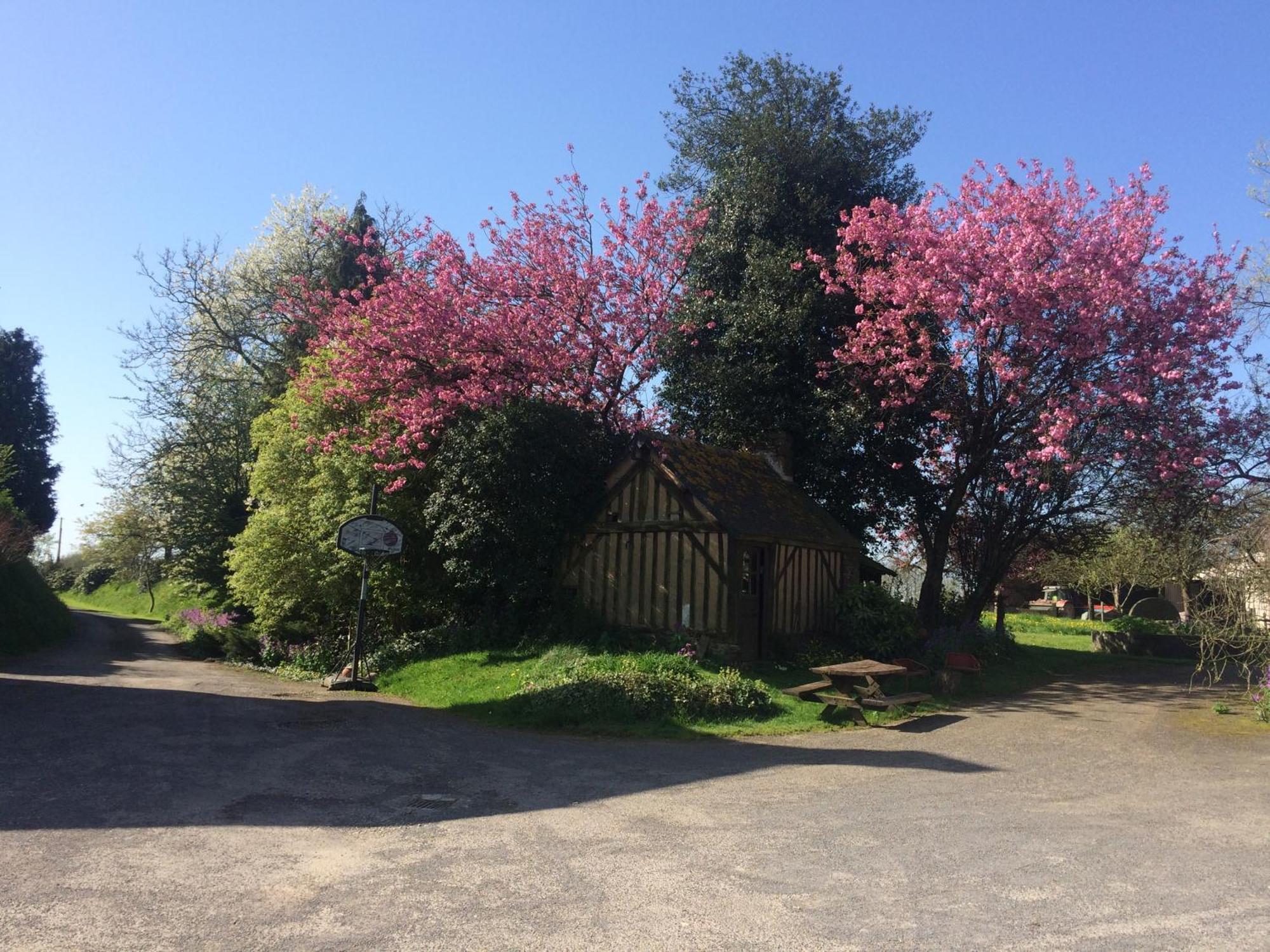 Ferme De La Gortiere Bed and Breakfast Le Teilleul Exteriör bild