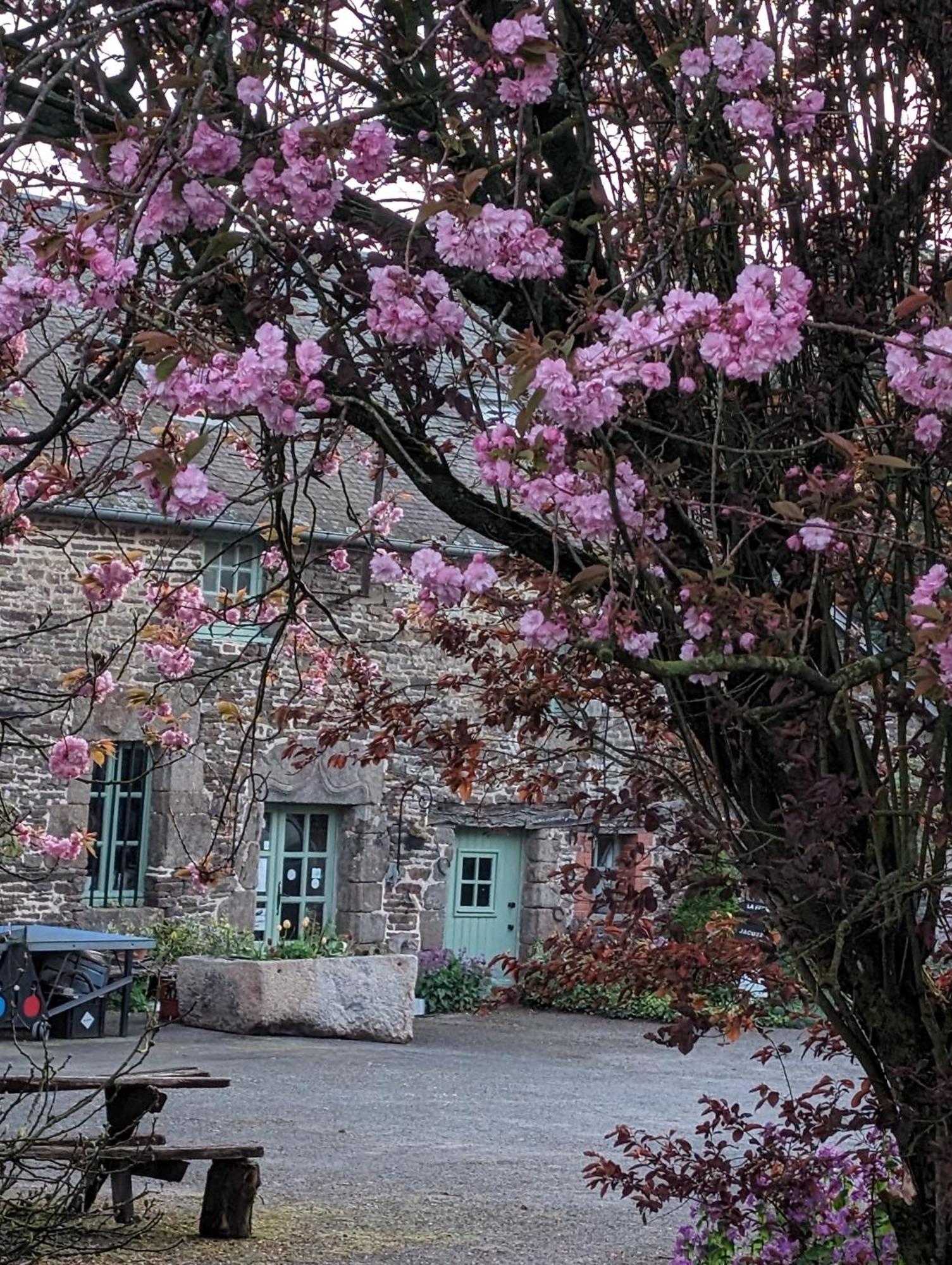 Ferme De La Gortiere Bed and Breakfast Le Teilleul Exteriör bild